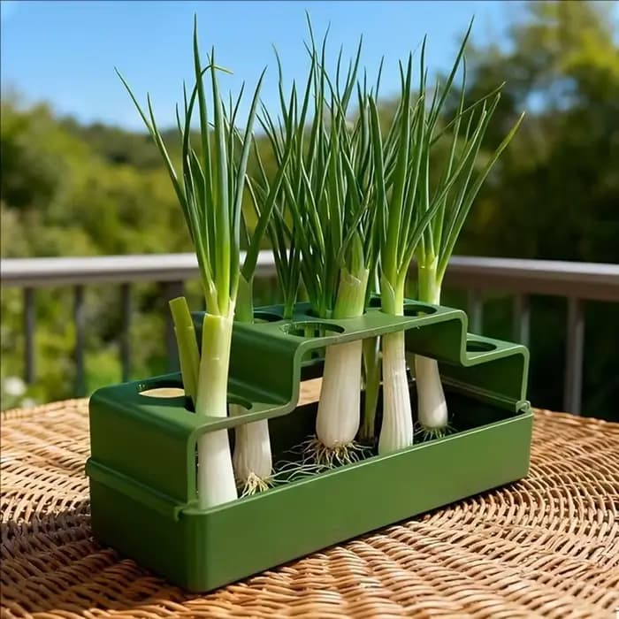 1 dispositif de plantation spécialement conçu pour les légumes