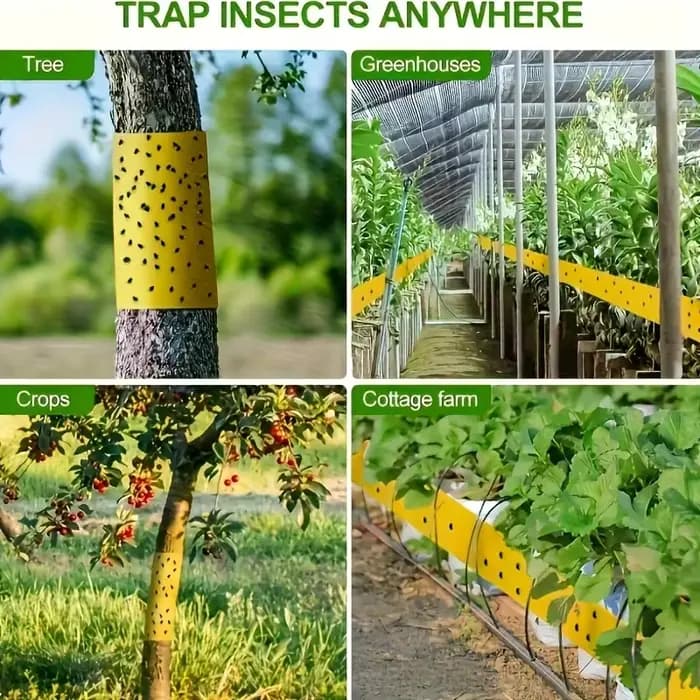 1 rouleau de ruban adhésif anti-insectes double face jaune pour empêcher les insectes