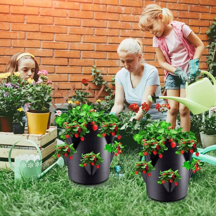 Jardinières à fraises pour extérieur