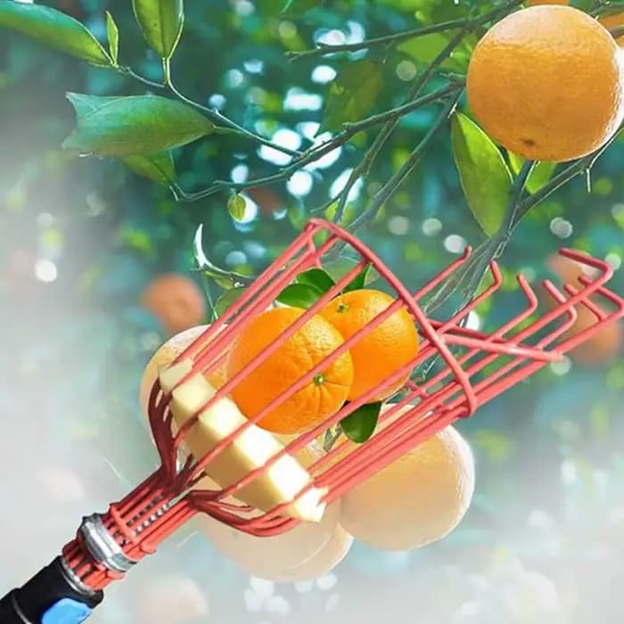 Nouvel Outil de Récolte de Fruits