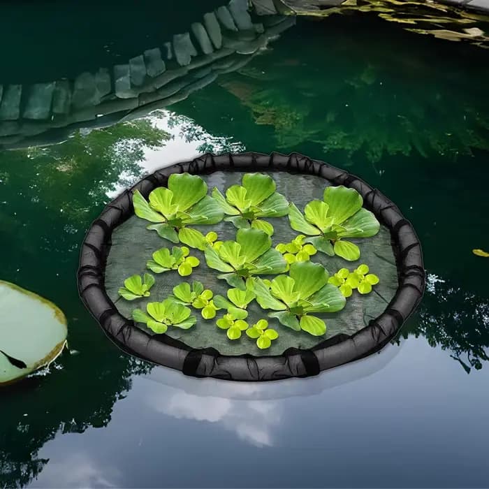 Corral flottant pour plantes