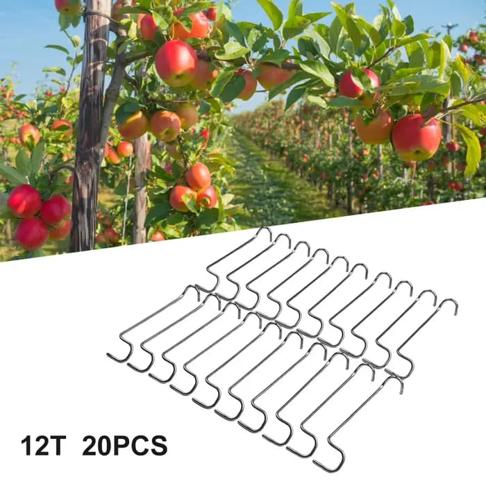Support de Branches d'arbre fruitier