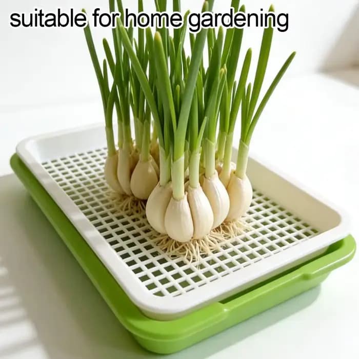 Plateau de germination de graines pour la maison