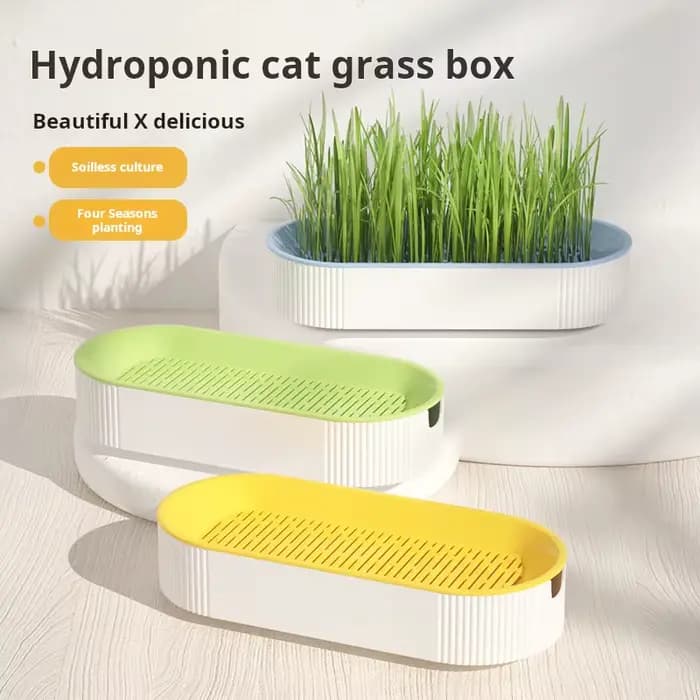 Kit de culture hydroponique d'herbe à chat pour chats
