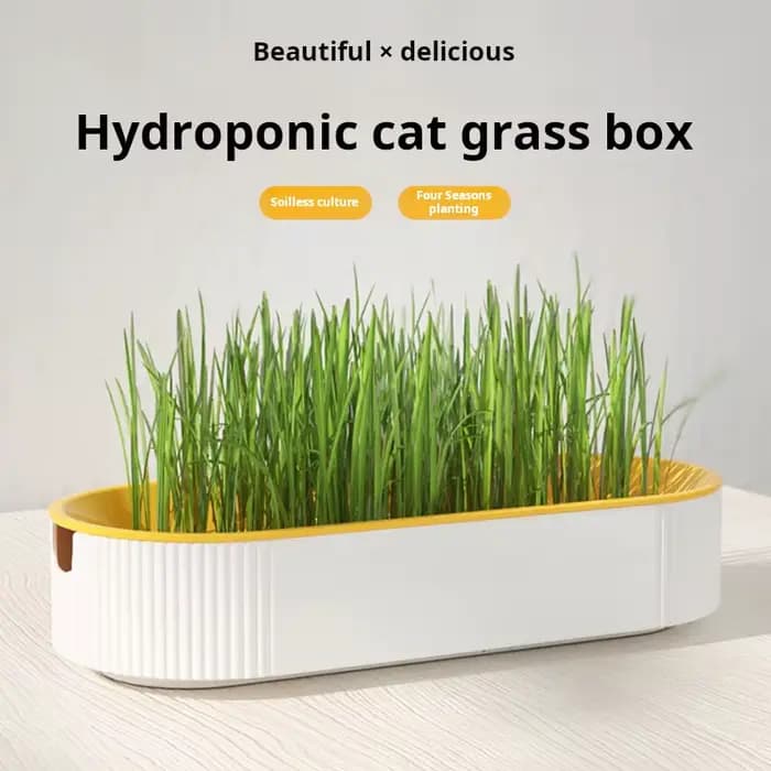 Kit de culture hydroponique d'herbe à chat pour chats