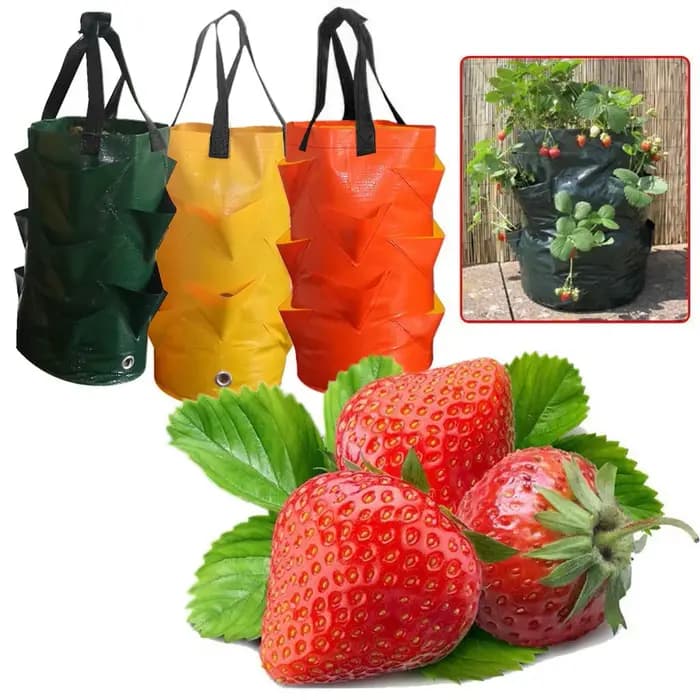 Sac de planteur de fleurs de pommes de terre