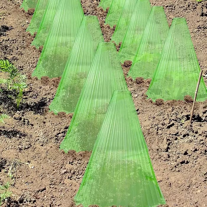 Couverture de protection pour plantes de jardin et pelouse