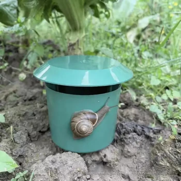 Piège à escargots pour verger