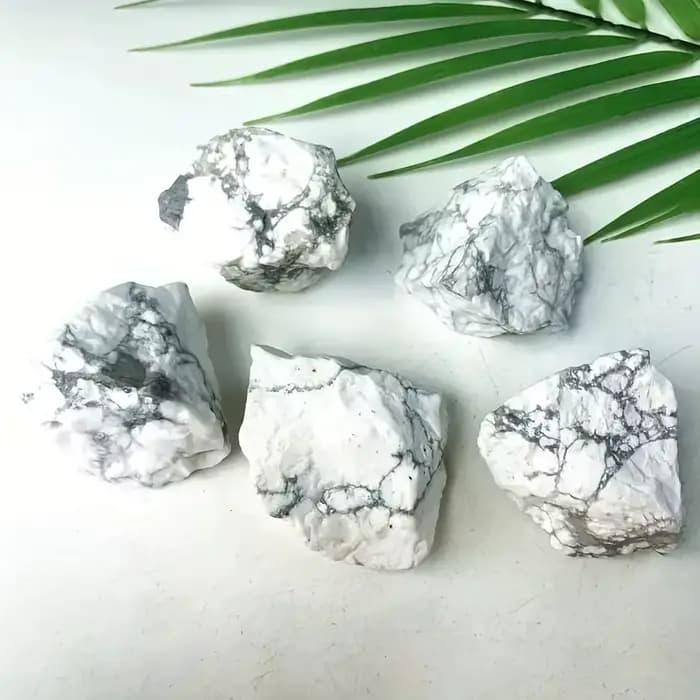Cristal Howlite naturel et pierre brute