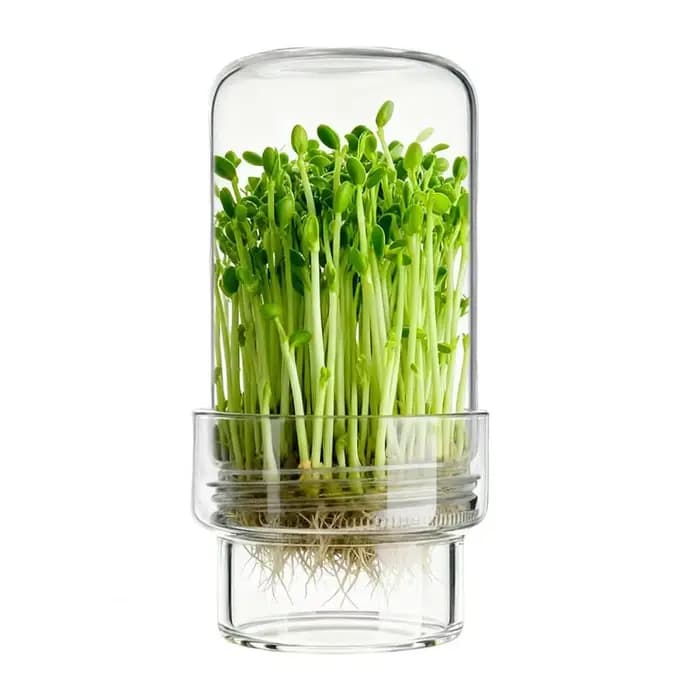 Kit de germination, ensemble de bocaux