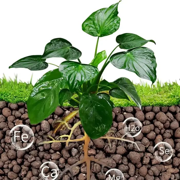 Leca IkClay Peays l pour plantes