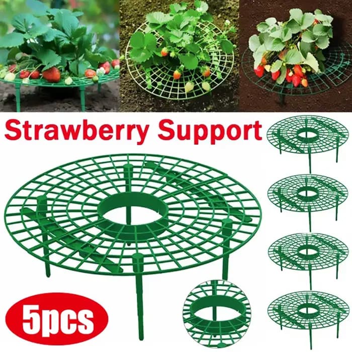 Supports de fraises pour conserver les plantes et les fruits