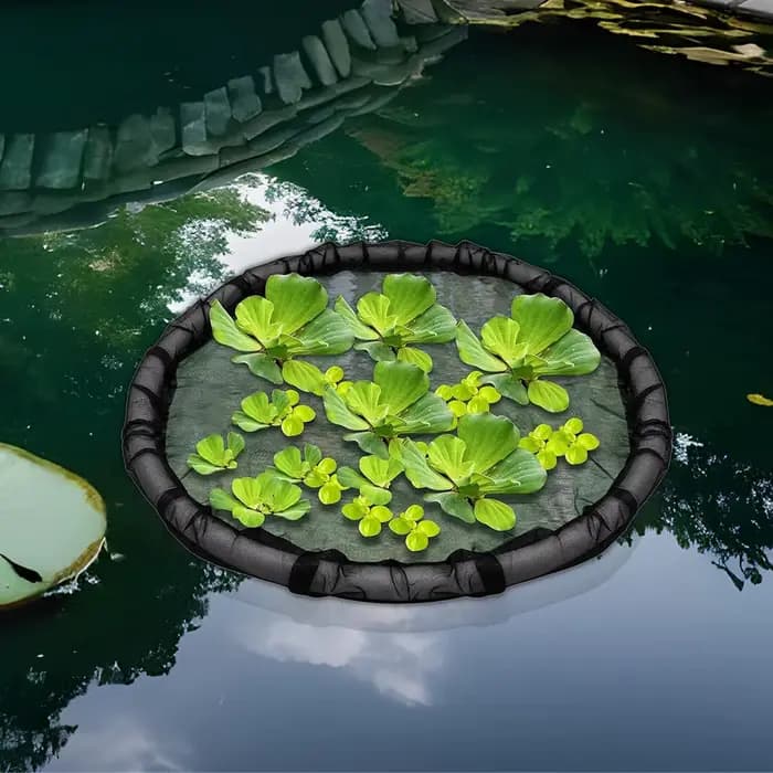 Île Flottante Ronde pour Bassin