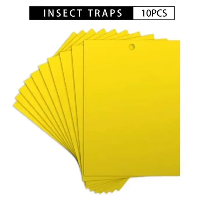 Pièges à insectes pour mouches et slime des fruits
