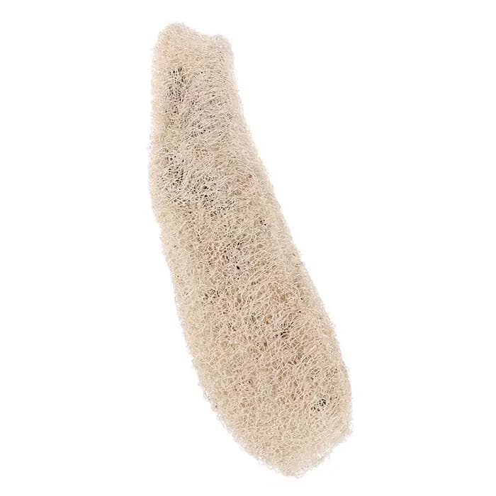 Luffa Loofah naturel non transformé