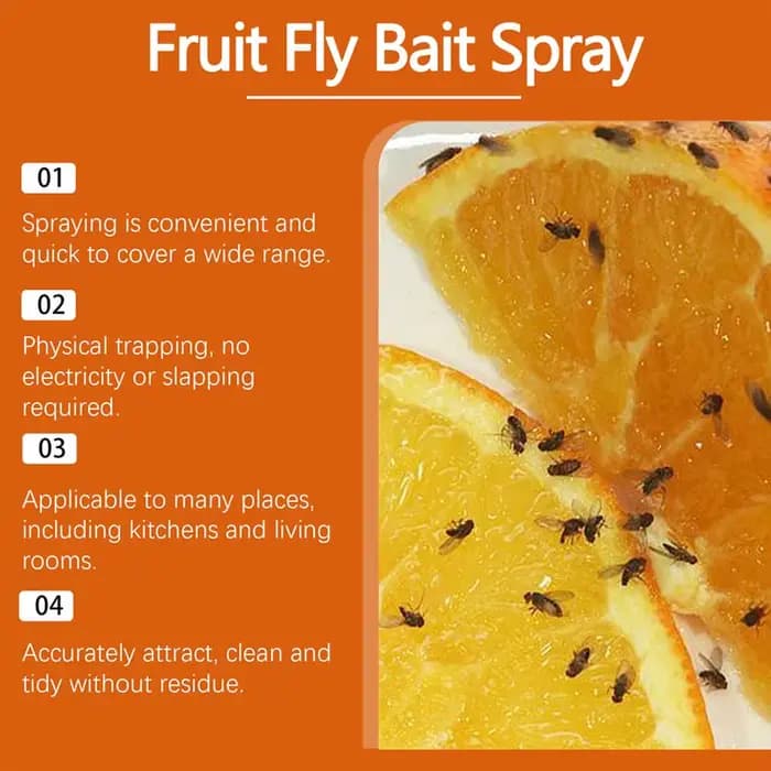 Spray pour mouches de fruits de cuisine