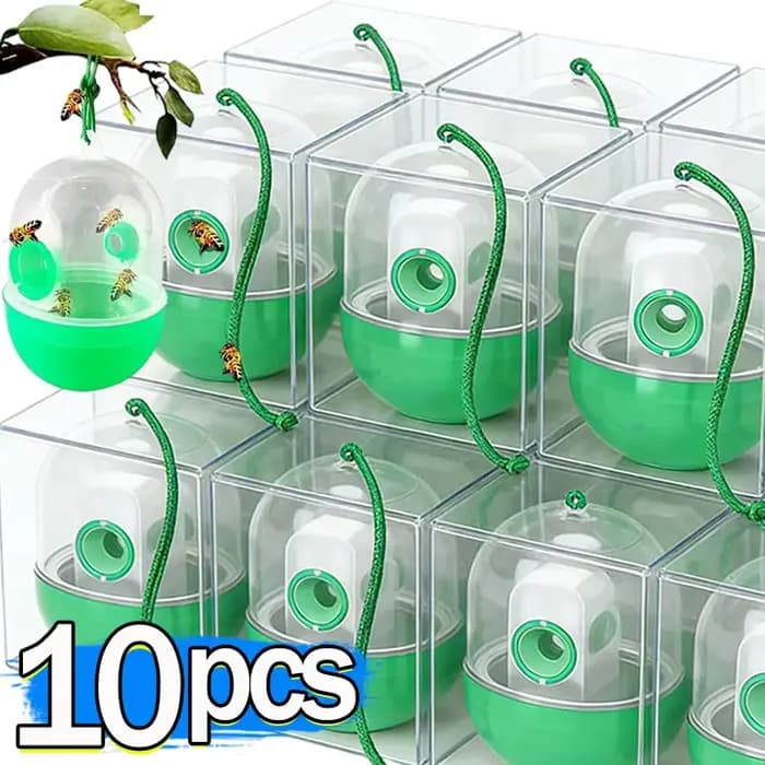 Piège à guêpes efficace