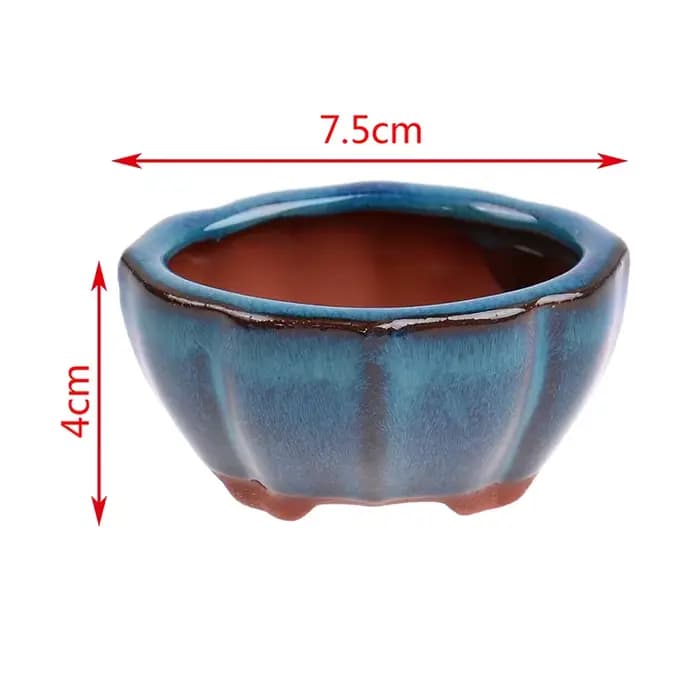 Pot de fleurs bonsaï de Style chinois