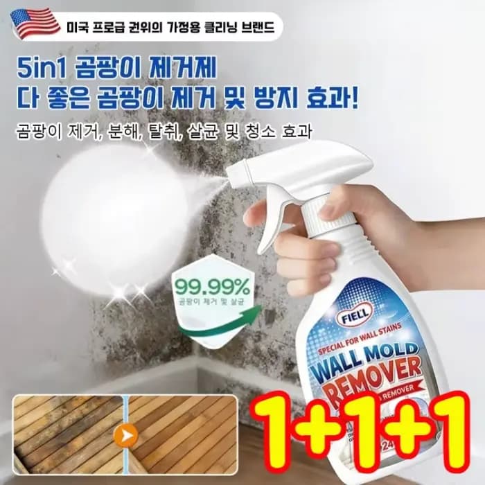 Spray anti-moisissure multifonctionnel pour murs