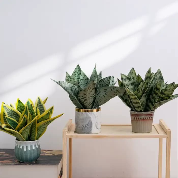 Plante Serpent Artificielle pour Décoration Intérieure
