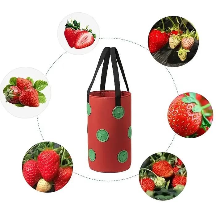 Multi-fonction 13 trous feutre suspendu tomate grandir sac planteur fraise légumes fleur plante crecer sacs jardin