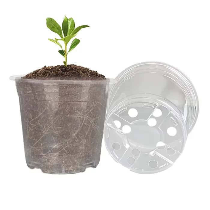 Pot rond transparent pour culture de fleurs