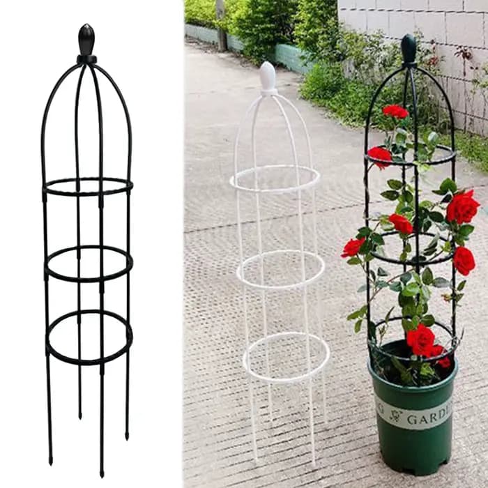 Obélisque de jardin en treillis pour plantes grimpantes