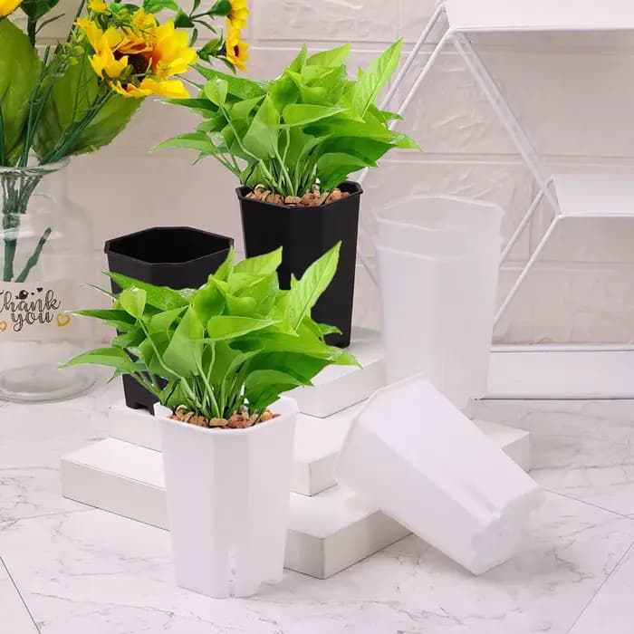 Pots de fleurs en plastique octogonaux