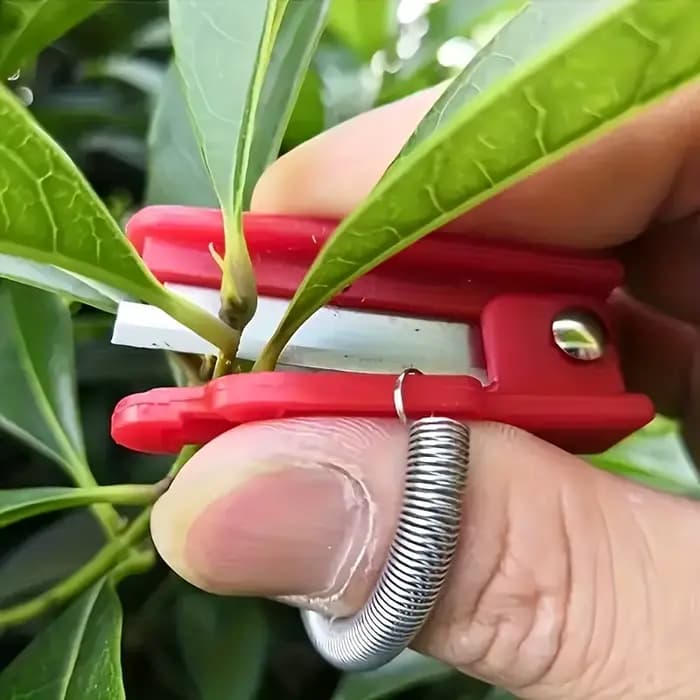 Ciseaux de jardinage pour pouces et doigts