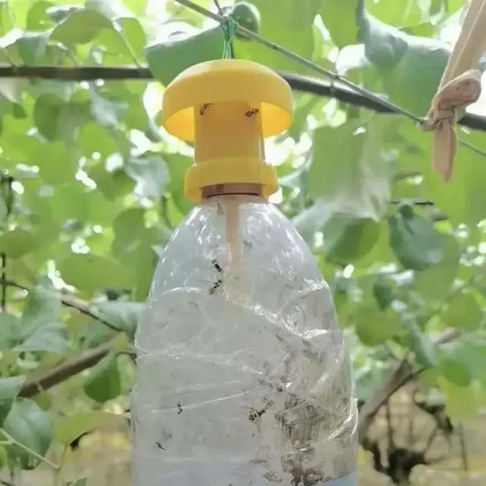 Piège à fruits jaune utile