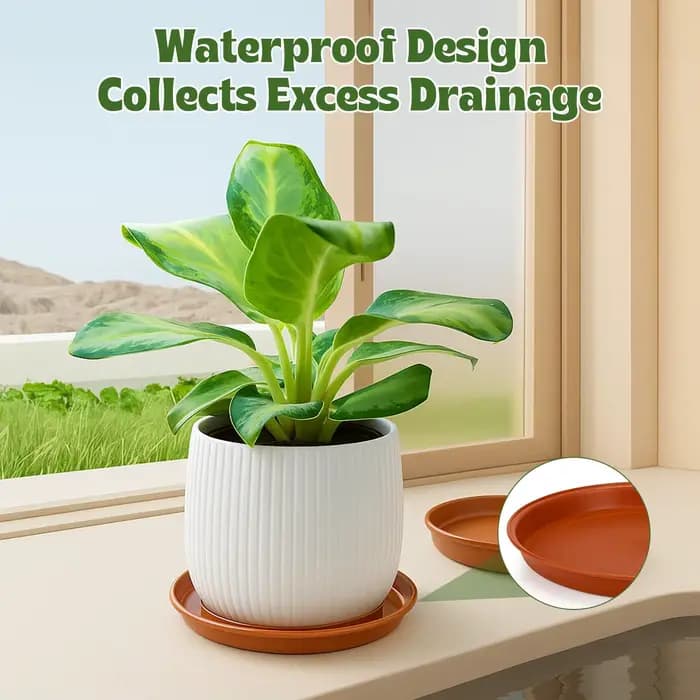 Paquet de 12 soucoupes pour pots de plantes – 4 tailles (18/22/24/26 cm) plateaux anti-goutte en plastique