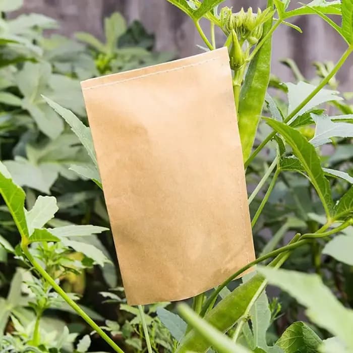 Enveloppes de protection en papier kraft
