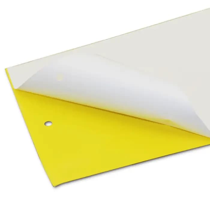 Piège collant double face pour insectes