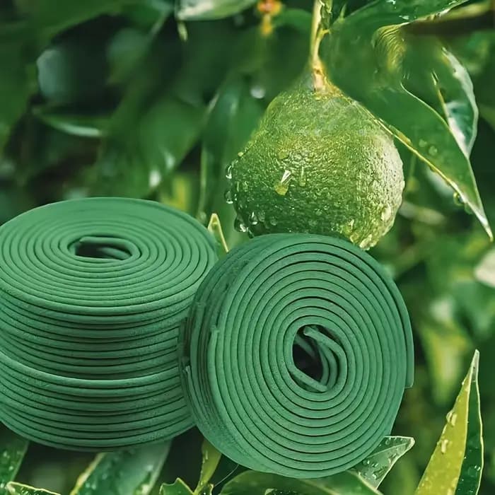 20/40 pièces de bobines de citronnelle naturelle-bâtons d'aromathérapie d'extérieur longue durée