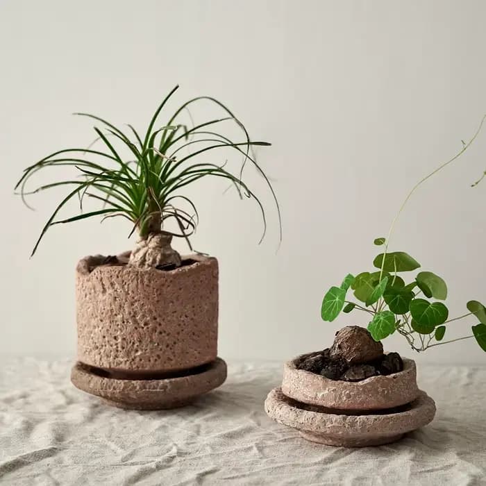 Pot de Plante Verte Faite à la Main avec Plateau