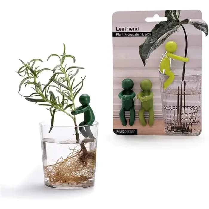 Support de propagation de plantes mignon