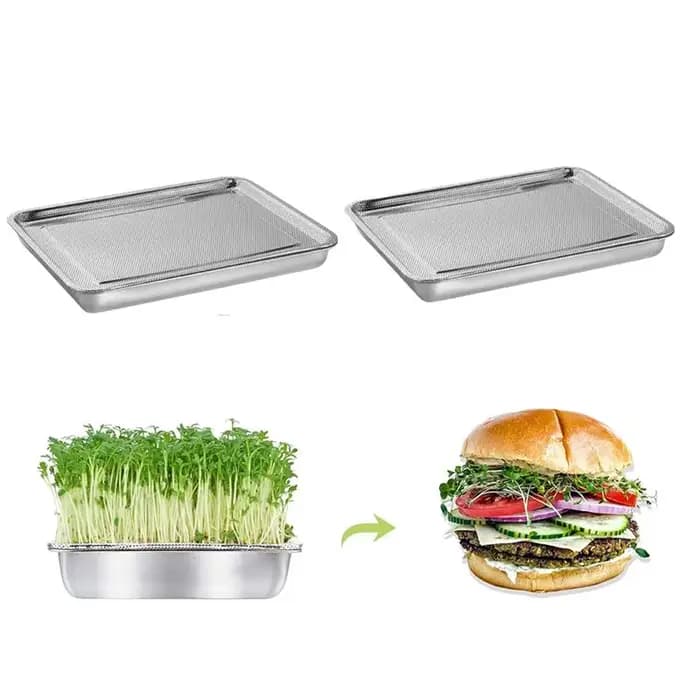 Plateau de germination de graines en croissance
