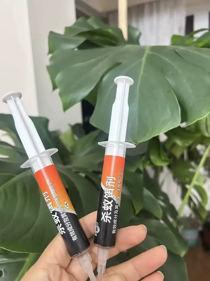 Appât pour fourmis, sûr et non toxique