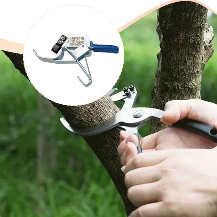 Outil de cerclage pour arbres fruitiers