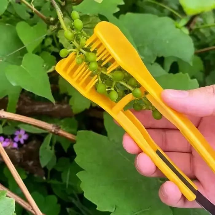 Pince à élaguer manuelle pour bourgeons de vigne