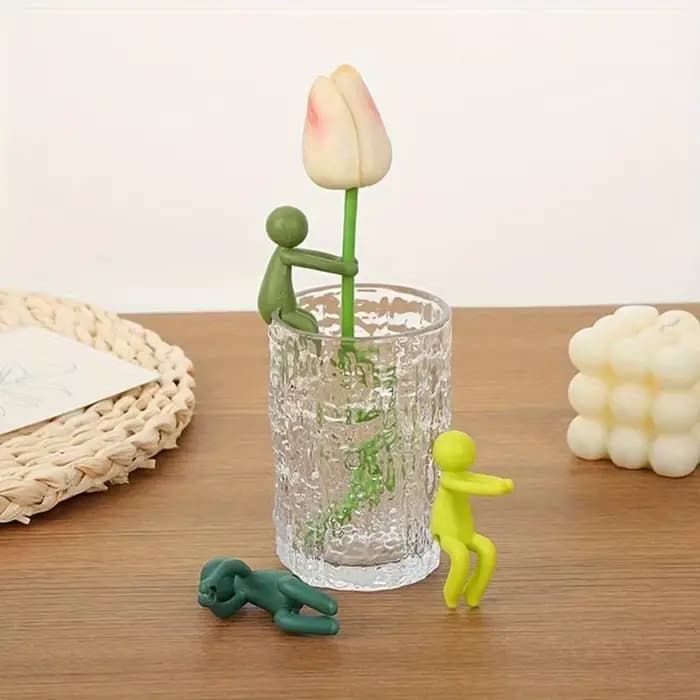 Support de propagation de plantes mignon