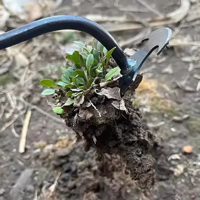 Désherbeurs de jardin en acier au manganèse