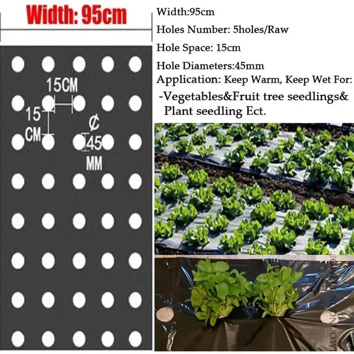 Paillis Perforé pour la Croissance de la Tomate Harvey