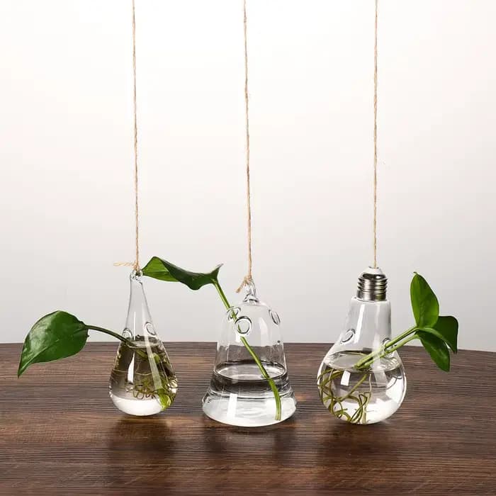 Vase à Boules de Verre pour Jardin Créatif