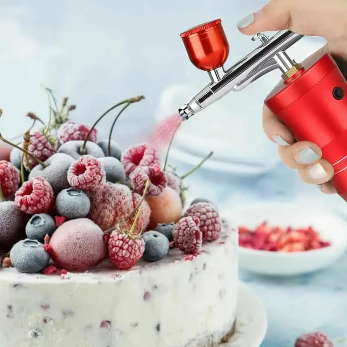 Pistolet pulvérisateur portable en acier inoxydable avec pompe à air