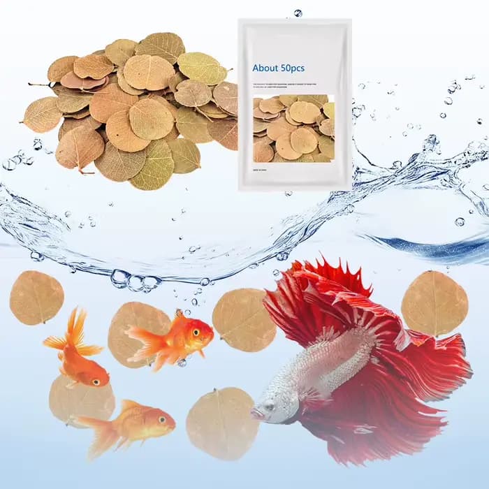 Filtre d'aquarium à feuilles naturelles