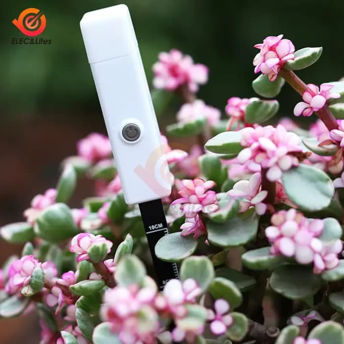 Capteur universel d'humidité du sol testeur