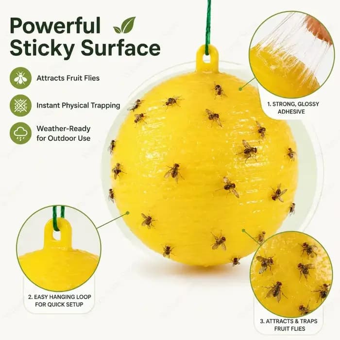 Pièges à insectes de jardin : Boules collantes pour attrape-mouches à fruits
