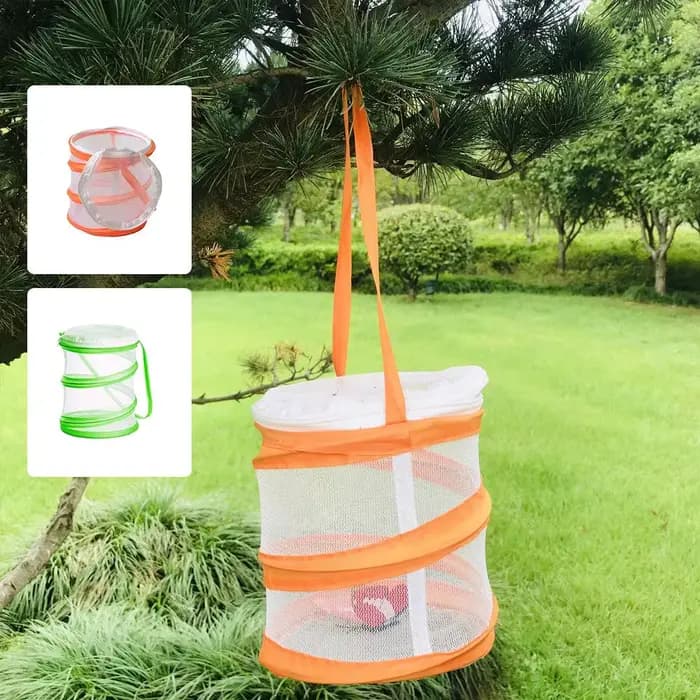 Cage à insectes pliable pour l'observation des chenilles et des papillons