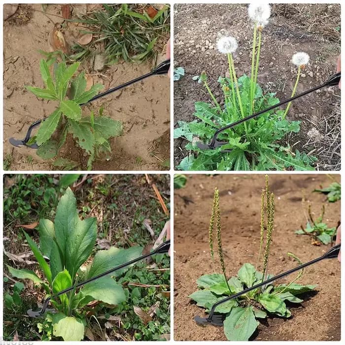 Houe de jardin, outils agricoles